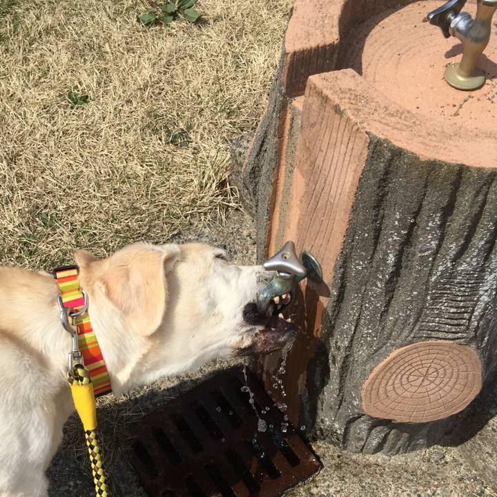 Ff03c548 fd9b 4c0c 8d93 286a82f002d2 1522815678379