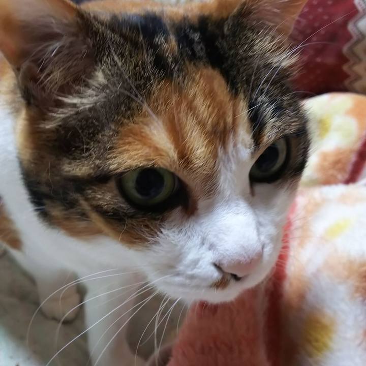 Ff03dc5a 0aeb 4d99 a0a6 beed53071ee5 1563400103963