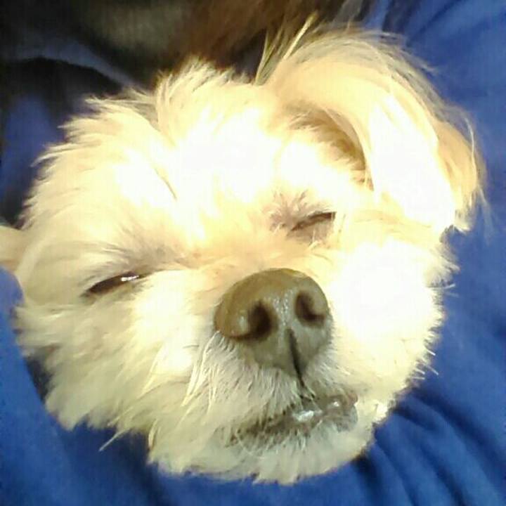 Ff040b20 63fb 48e7 8141 5fb40b0eb1be 1553834700801