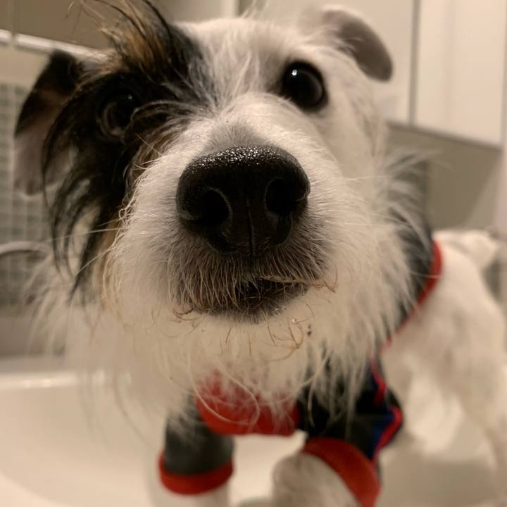 Ff042dcf 29ac 429b ba2a 8c9f3234a691 1651234460709