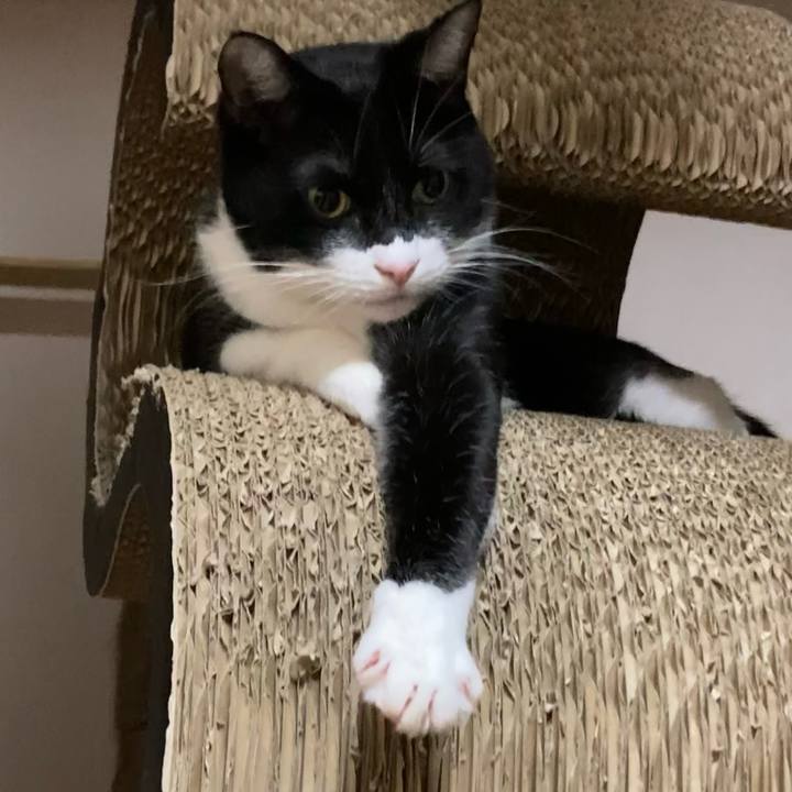 Ff044d28 3d21 4468 bf31 a826f60dac6d 1649749235610