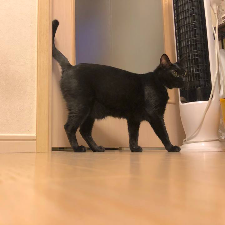 Ff04631c a16c 49e5 9166 a9e0b0e67fe1 1565525038520