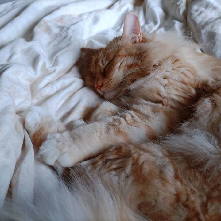 Ff0470c1 a52a 418e 9859 79fb5ca9f89a 1686531411539