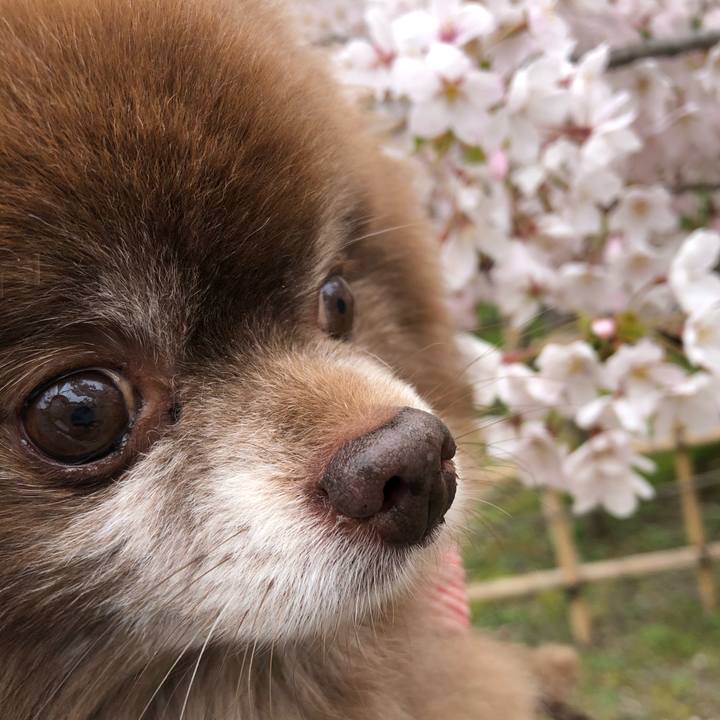 Ff047879 8bca 4ac7 aff0 91143ee258c2 1619658707882