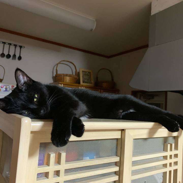 Ff048dc5 eaea 4519 bf1b 0465e5366a9e 1570292035105