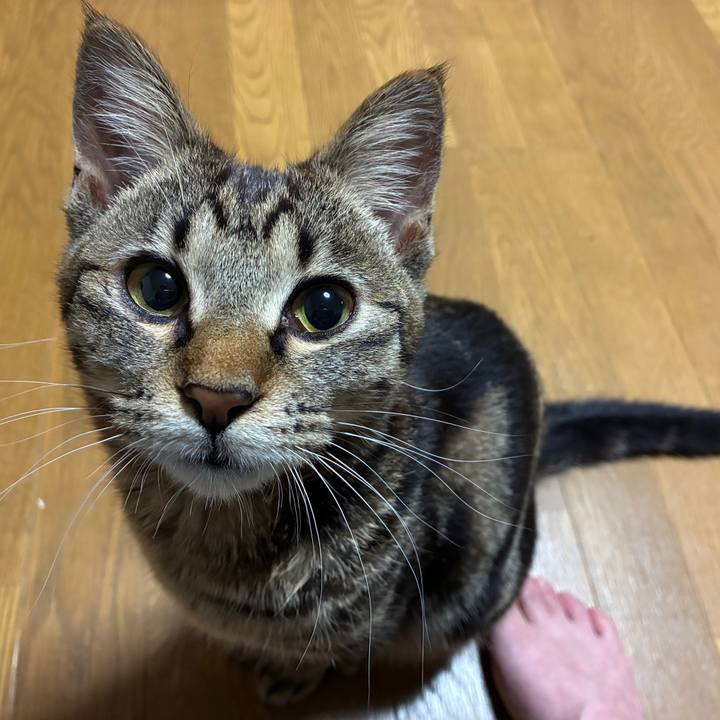 Ff04b6d7 989d 4db8 95e0 a5f8f5a7398c 1749554661333