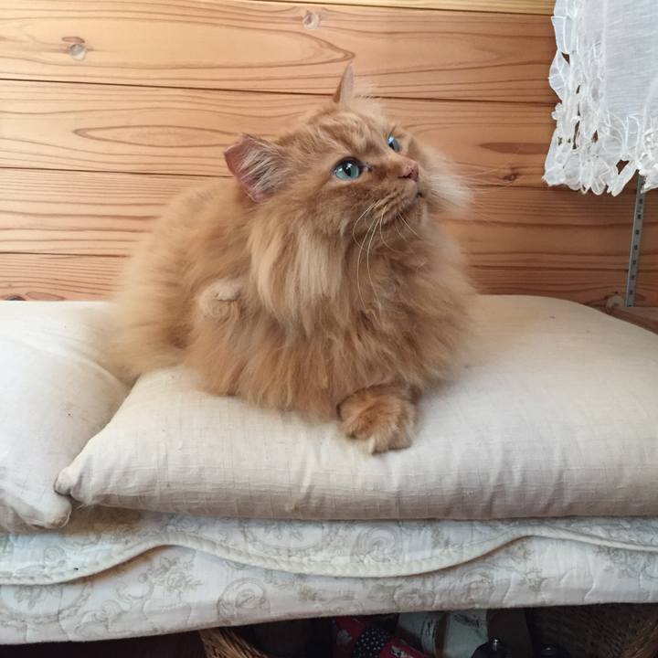 Ff04b7ea 8af6 4919 8454 01c498cec733 1626124443479