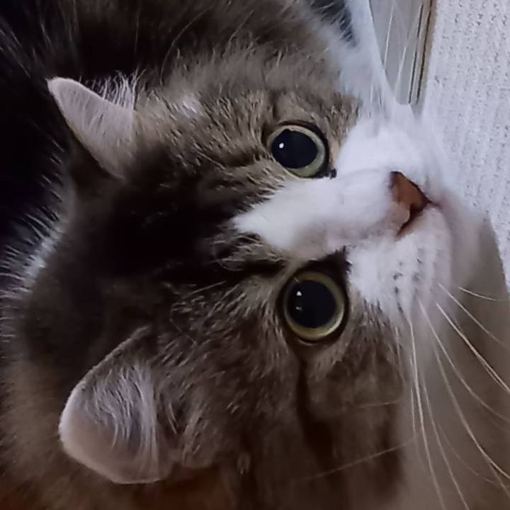 Ff04f632 9ff4 43cb a4d9 c0bc551998bf 1628942125170