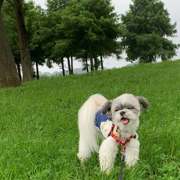 Ff053787 5764 4e69 a0b3 1d1fb8c3b564 1626315836944