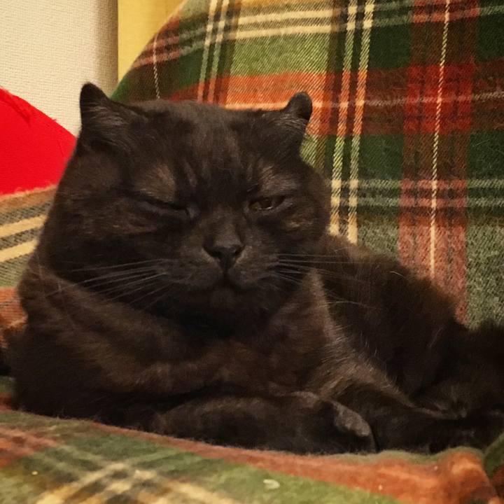 Ff054df7 b81d 42a7 9783 ba4d5804c4db 1524760634483