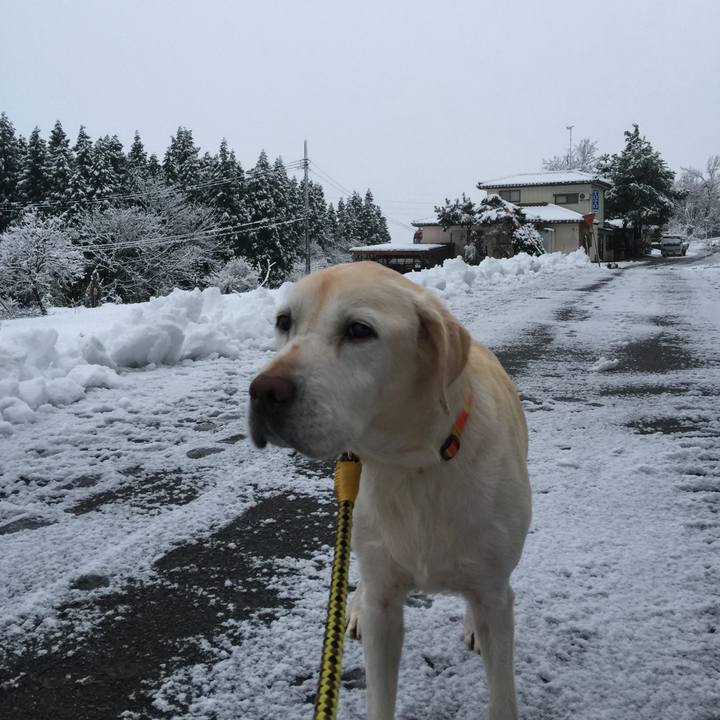 Ff055863 f17b 4b76 904e 8ab6e2026762 1512512331155