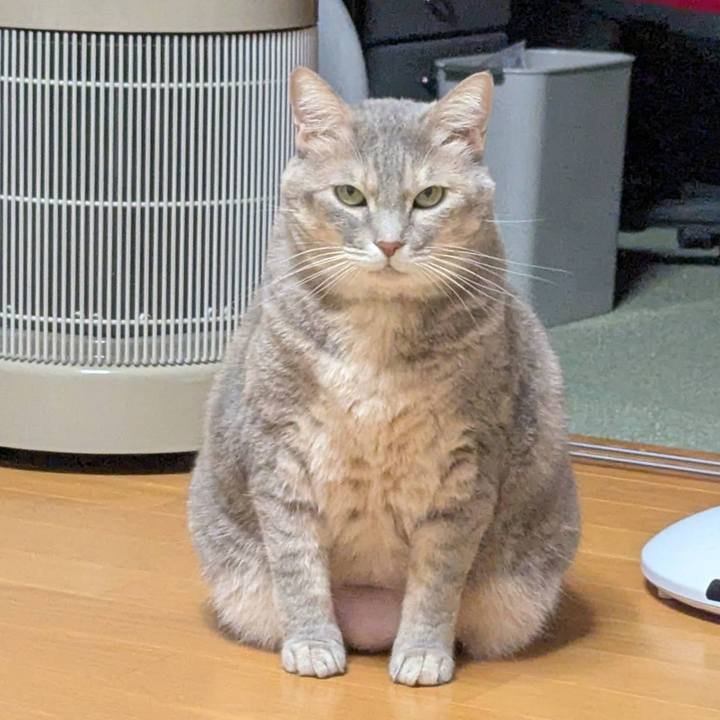 Ff0576ba 5538 4813 8067 3879e9c920a0 1762043725776