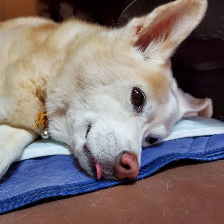 Ff05a4e4 5bd8 46e1 be05 f7a7c6c29394 1664451258055