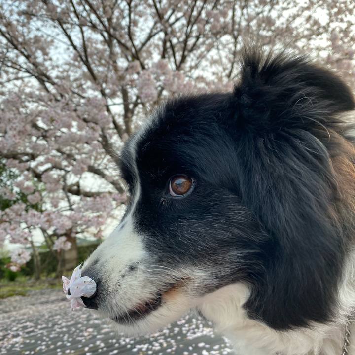 Ff062ddc bdb8 44aa ae5e bb298ca4f741 1712268008689