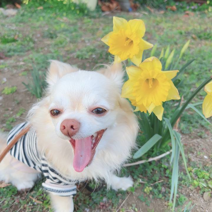 Ff069e07 9903 472c 9019 86dac96edf8c 1708339329968