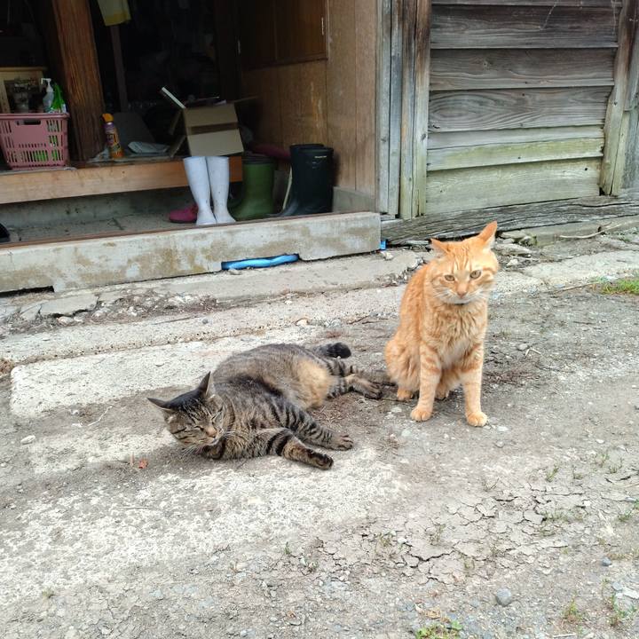 Ff06a161 9bca 47b6 a3ed 53c5907f541b 1690195634619