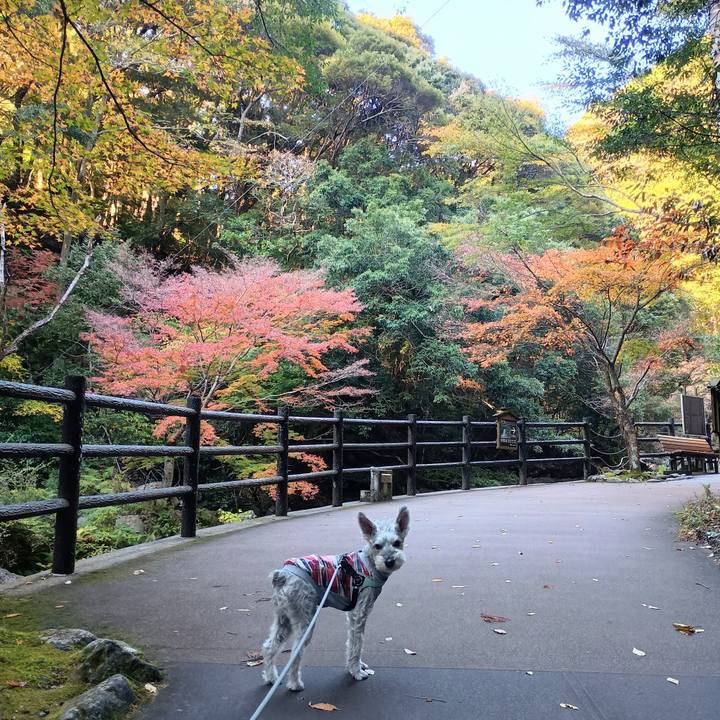 Ff06a1c8 eeca 4089 bba8 33e75c15ea92 1764509915965