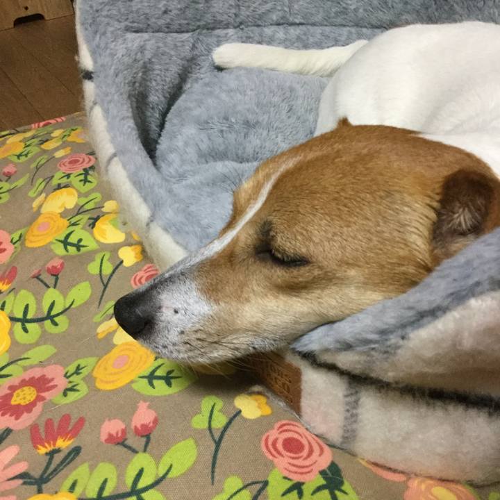 Ff06a5c9 584a 485e 875e 639c0f5a75c9 1556881190795