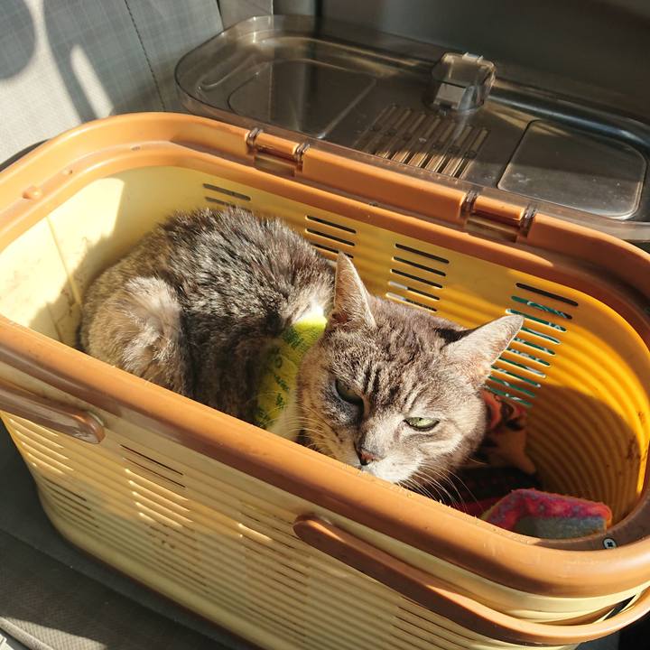 Ff06c7bd 0ba5 43eb acff 9214fc8fa5a0 1586589462336