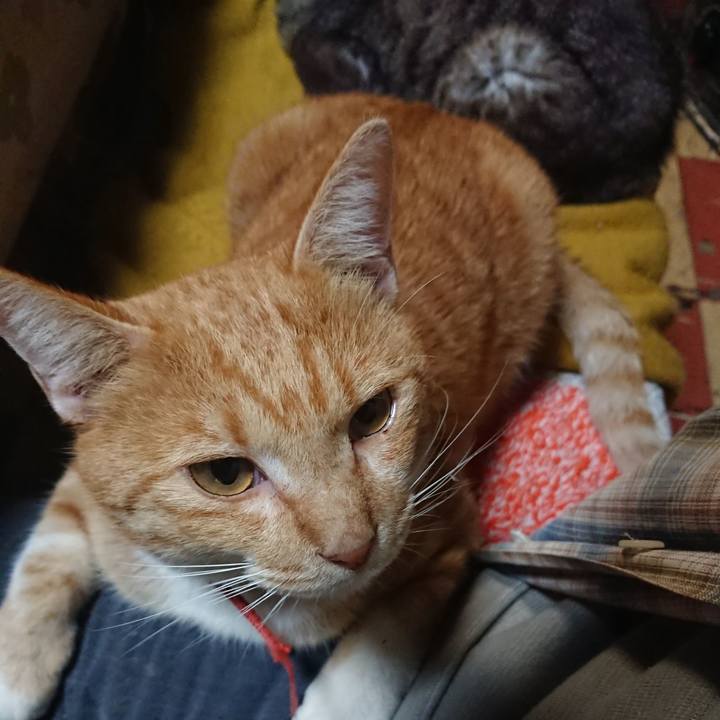 Ff06eee4 ee09 4e1a bbde d0863ee0a739 1570446085499