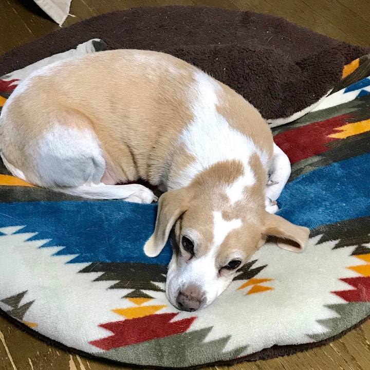 Ff0705b5 83e0 4f0c b092 74c6d58856a7 1543482451327