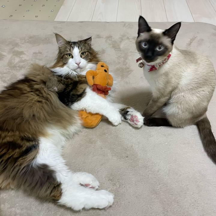 Ff07084b ef59 4f46 aaea 433314c780a4 1710964366506