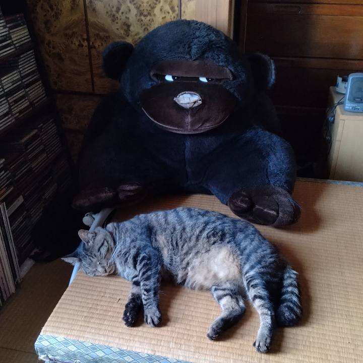 Ff071f66 f920 43d4 9394 946d96a62189 1693184813654