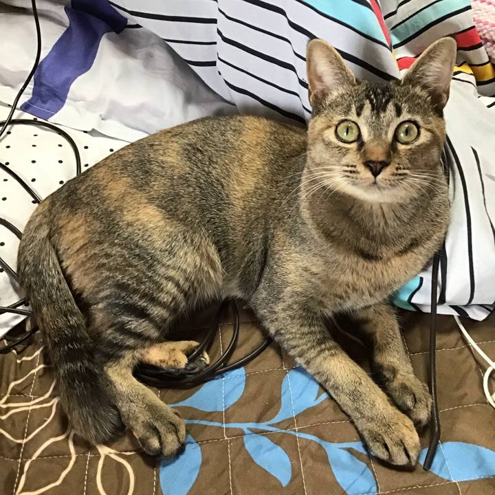 Ff07271f 5907 4a00 b76b d7ee4b9dd274 1577245550888