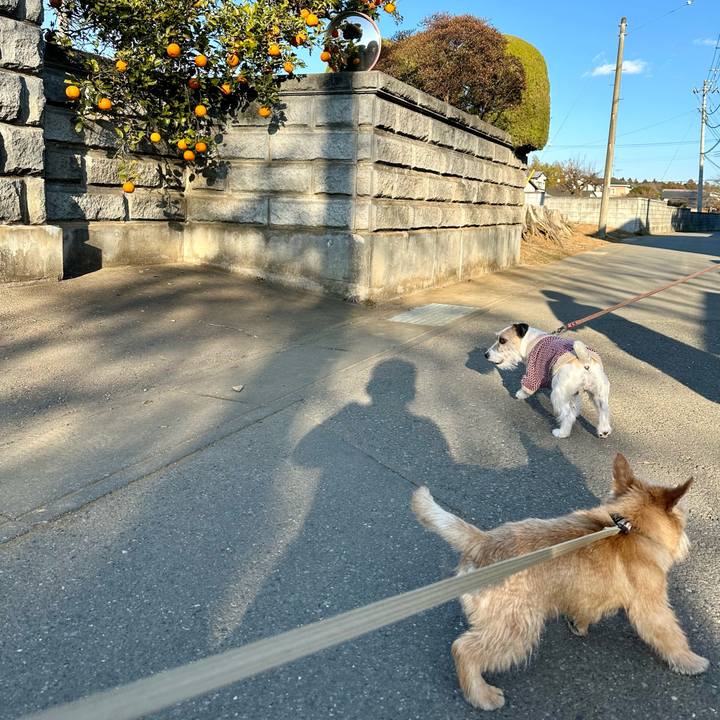 Ff077919 a299 49ff 857c 5cf1bb36367d 1707743241215