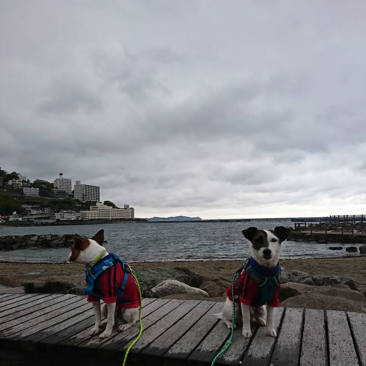 Ff0798f0 a5cc 4955 8083 1c7dcdbbd4d8 1556323068148