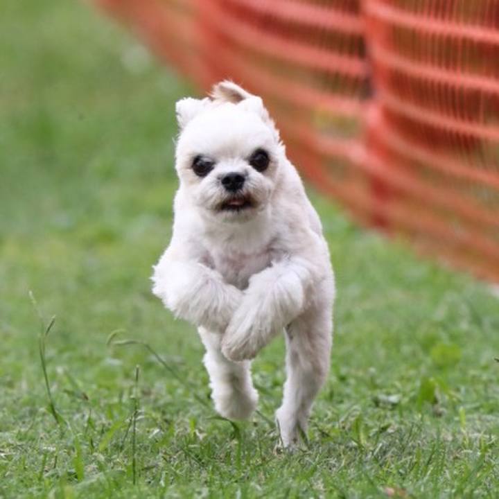 Ff07aab6 8591 49e4 ba9e 6da543a51872 1540599721865