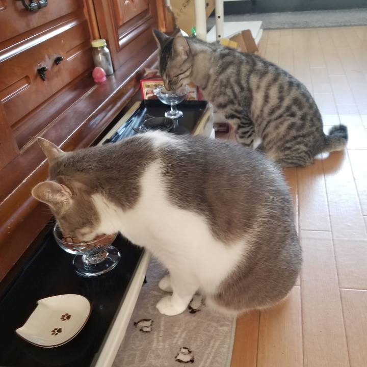 Ff07b5ba c76a 454c 80d1 c4866c3145ee 1678876367161