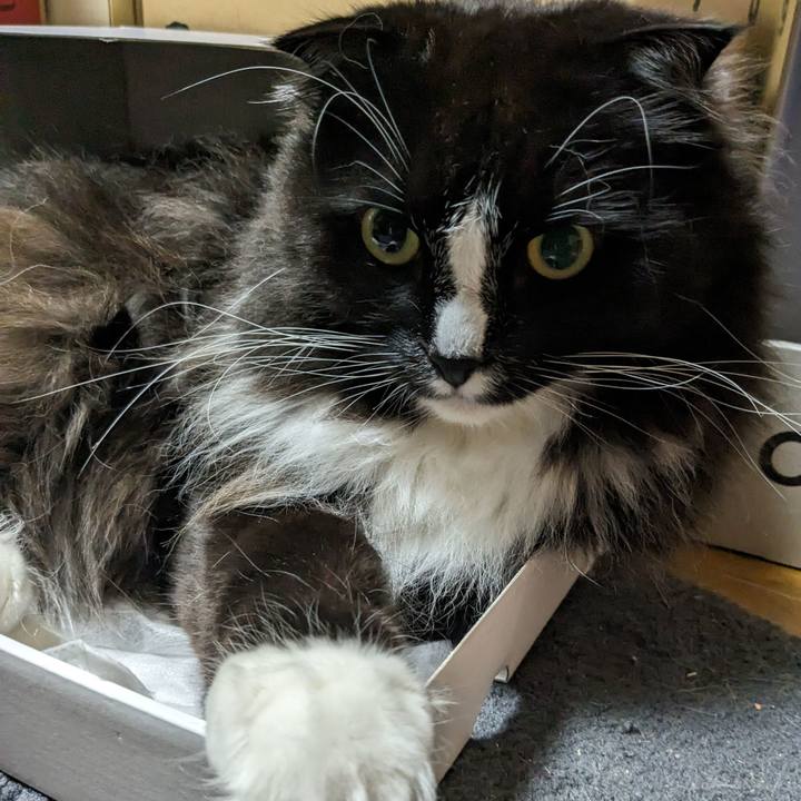 Ff081645 2fa8 4276 b27e 918d223801f0 1714342559383