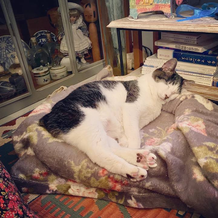 Ff08278b 4186 4a4b 9159 118d33b65e5b 1582381623925