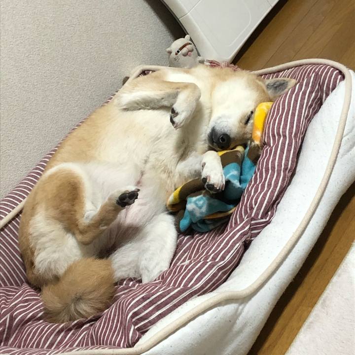 Ff08287d 0a75 4cfd 897a 4d679ca914d5 1585111270285