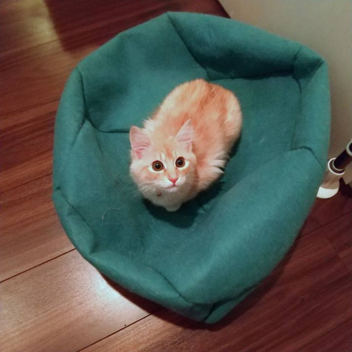 Ff08332d bbd4 4abb a96e 3b7bdd1ae1d7 1608262888589