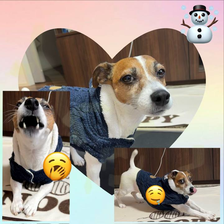 Ff084ffd d259 4895 9a07 04bce76c75a2 1769298351292