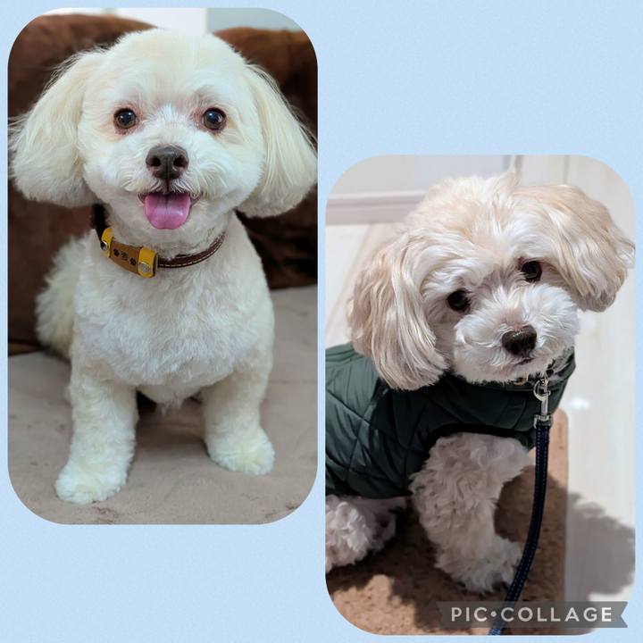 Ff0858c3 307b 4efb 9a99 c666fac970c4 1766495064292