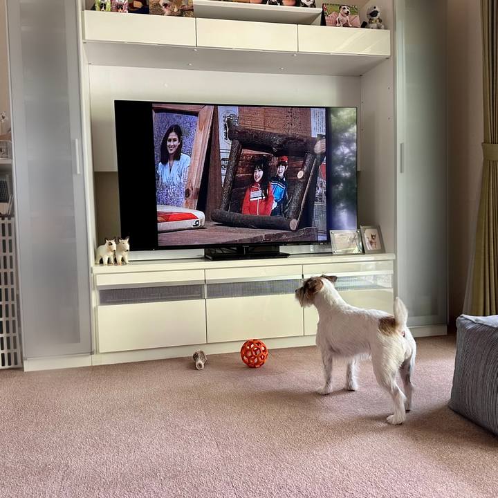 Ff088f80 a555 4c3f b93b 91021c8e281a 1692242595282