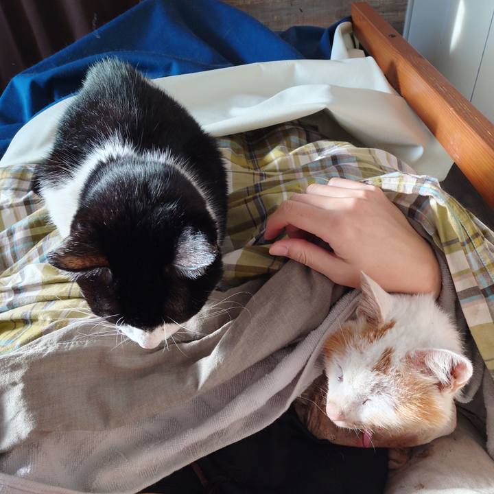 Ff089a7b 5430 4062 a0f3 46c6d9f2a1ad 1764973242158