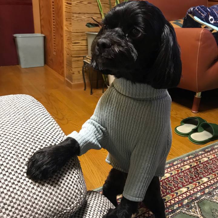 Ff08a7af ca2d 4669 a786 a9ffa3a7c9c1 1546012673893