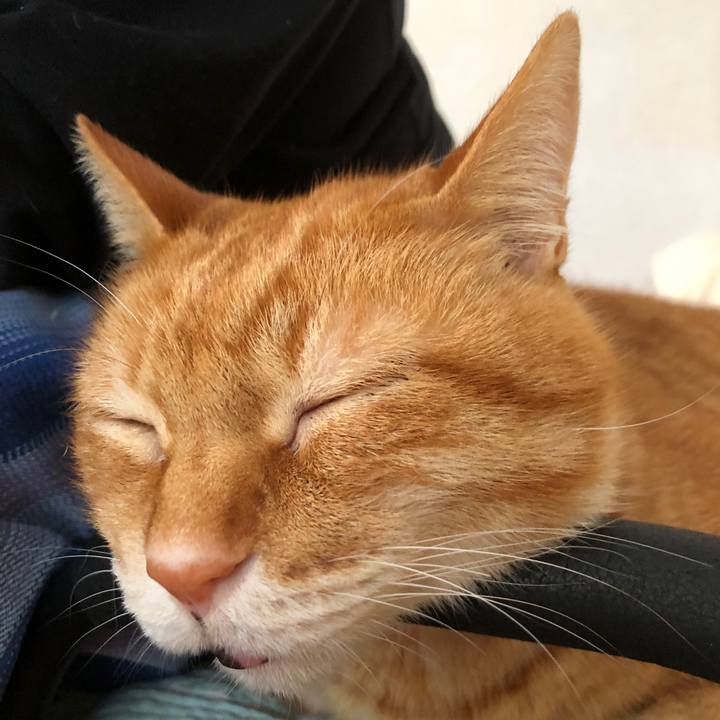 Ff08c4bd 7b22 46ba 9af7 09ad695716d7 1735972341567