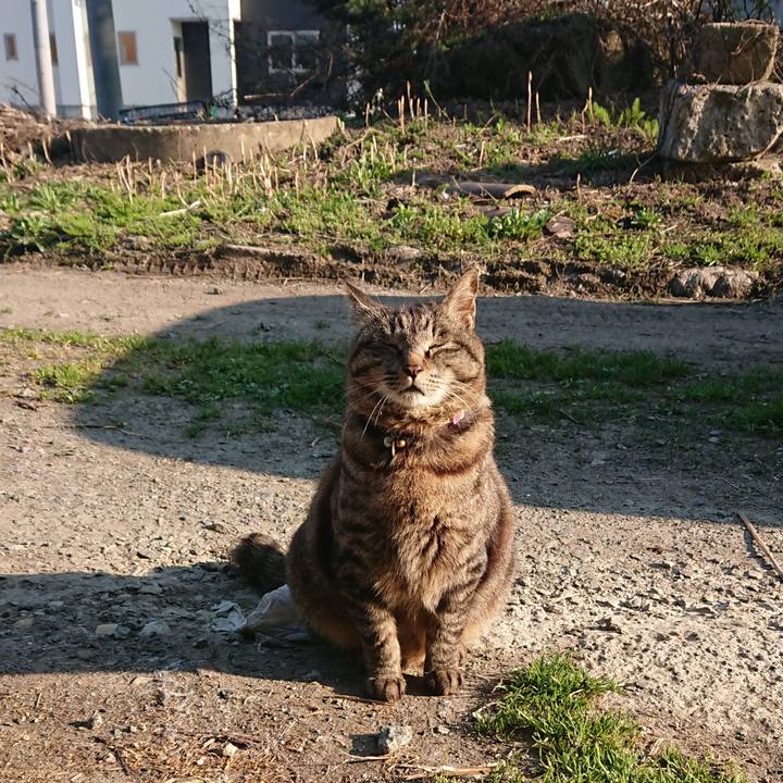 Ff08d26c c412 4e93 beb9 9e4bd1361a0a 1650353712397