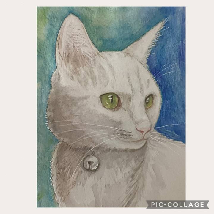 Ff08d7e4 5cfd 4897 b5cc 84943494c059 1675594902871