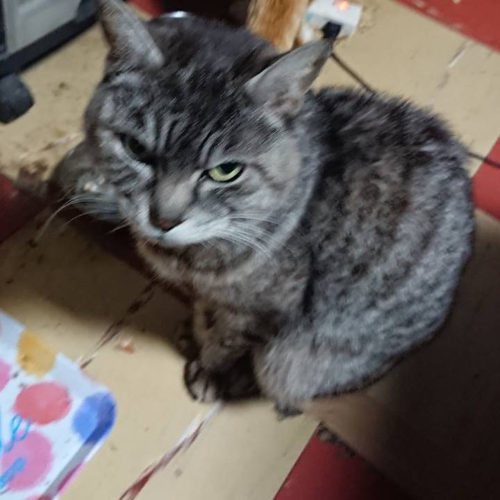 Ff090ffc cca3 432e 89be 35e46503628b 1555186029301