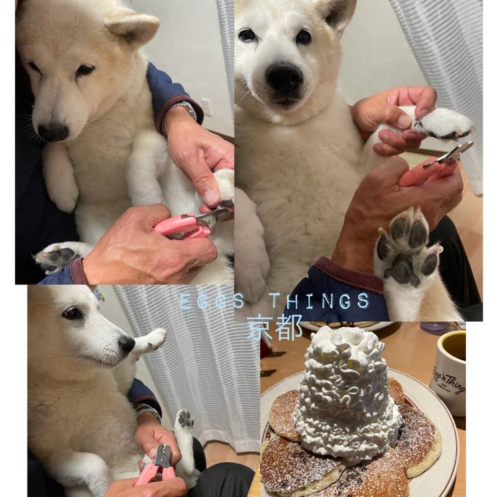 Ff092d86 8e19 4b42 8b69 7541ee32d00f 1640647443305