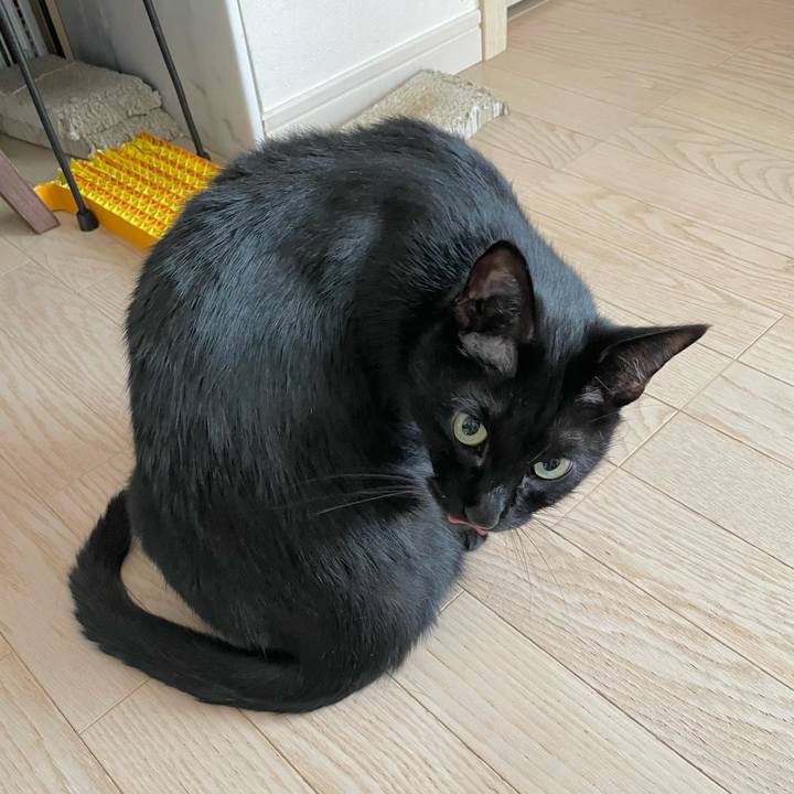 Ff095e87 3b47 457d 8a3f dce3f9bd11a7 1668330399586