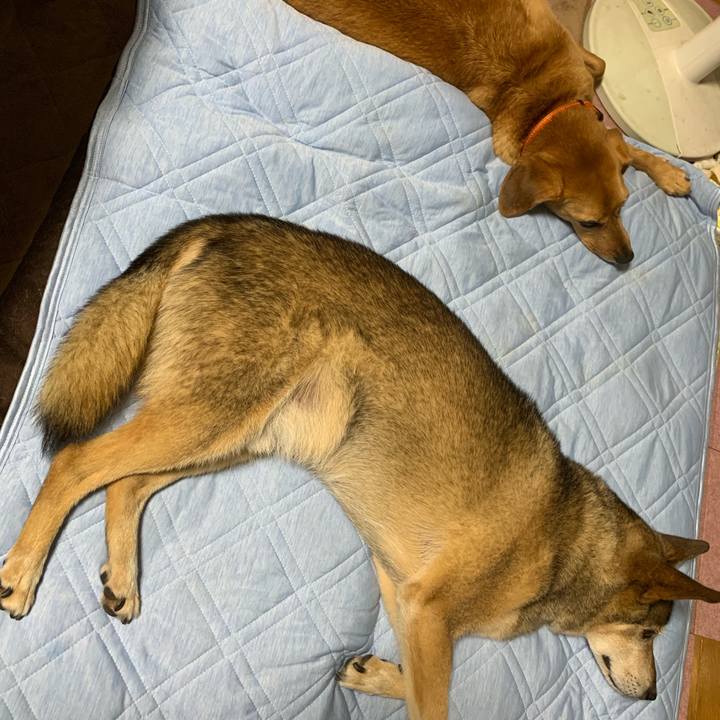 Ff0980fa 2427 4fab b6cd 55e7ac4f2bc9 1564156395080