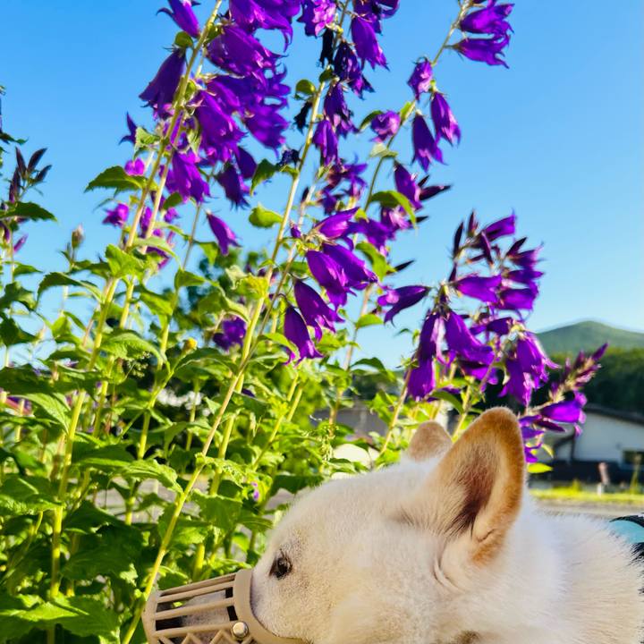 Ff09820c 209a 4ecb 9f1d 8f8b2b1f0205 1687381444051