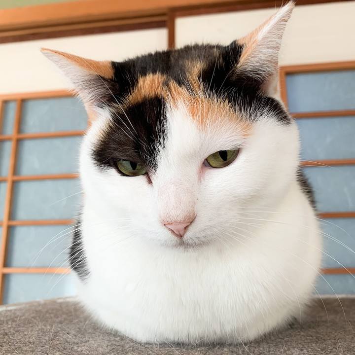 Ff09a210 fcfe 49c4 8caf 42021014fb14 1573697158871